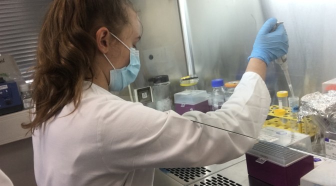Story of a 15-year old scientist: How it all began